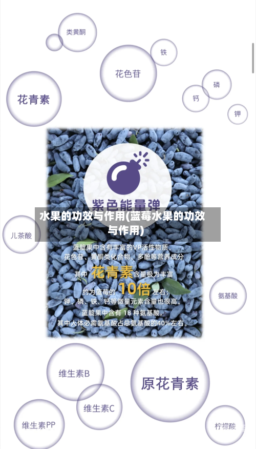 水果的功效与作用(蓝莓水果的功效与作用)
