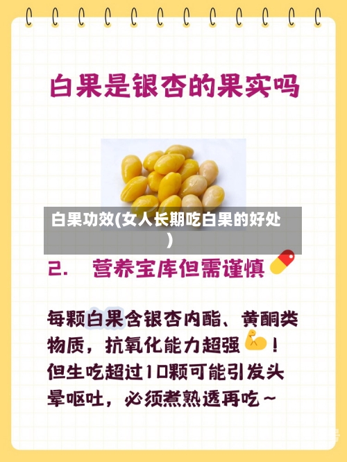 白果功效(女人长期吃白果的好处)