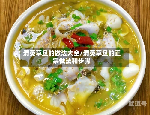清蒸草鱼的做法大全/清蒸草鱼的正宗做法和步骤