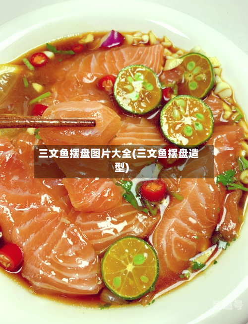 三文鱼摆盘图片大全(三文鱼摆盘造型)