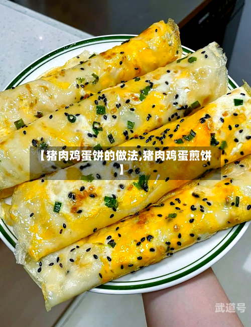 【猪肉鸡蛋饼的做法,猪肉鸡蛋煎饼】