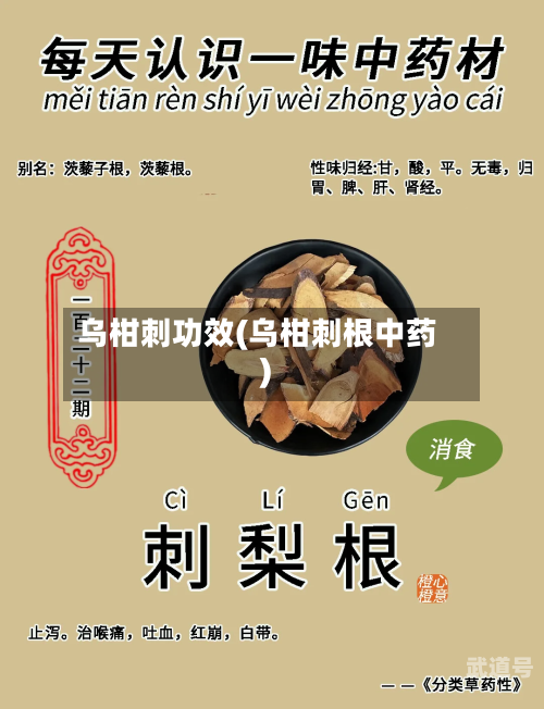 乌柑刺功效(乌柑刺根中药)