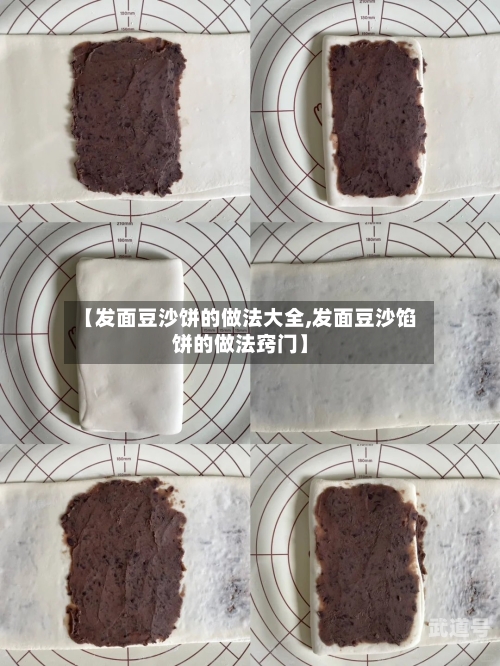 【发面豆沙饼的做法大全,发面豆沙馅饼的做法窍门】
