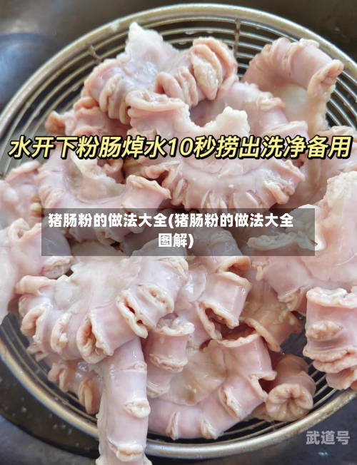 猪肠粉的做法大全(猪肠粉的做法大全图解)