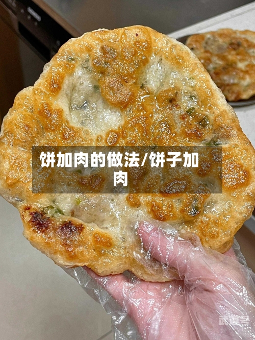 饼加肉的做法/饼子加肉