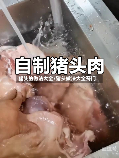 猪头的做法大全/猪头做法大全窍门