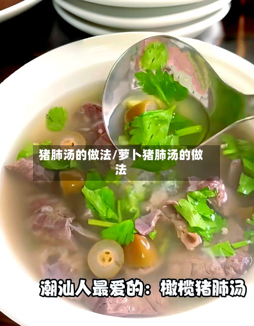 猪肺汤的做法/萝卜猪肺汤的做法