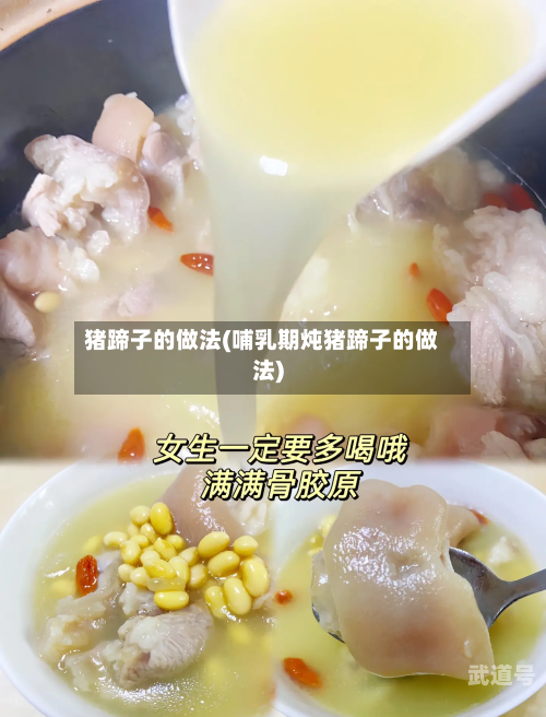 猪蹄子的做法(哺乳期炖猪蹄子的做法)