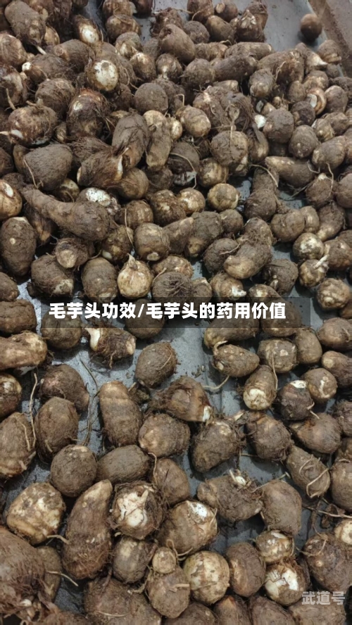 毛芋头功效/毛芋头的药用价值