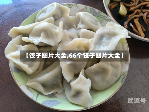 【饺子图片大全,66个饺子图片大全】