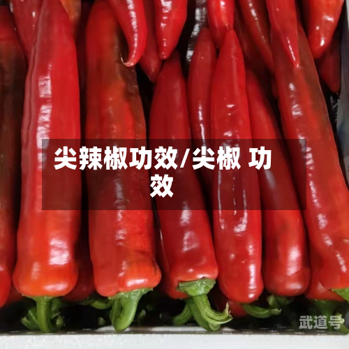 尖辣椒功效/尖椒 功效