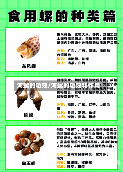 河螺的功效/河螺的功效和作用