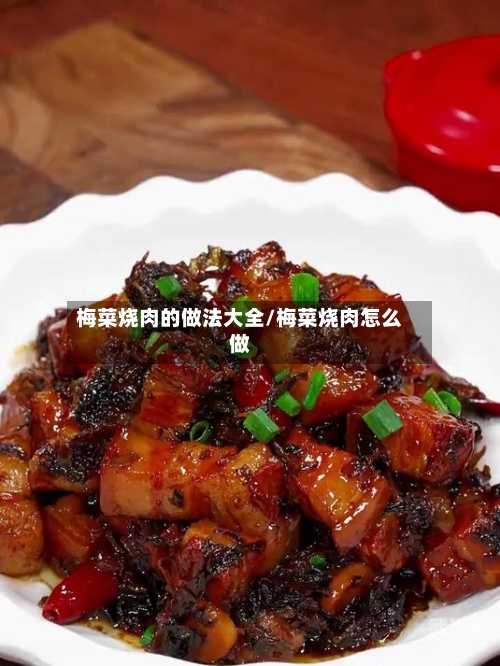梅菜烧肉的做法大全/梅菜烧肉怎么做