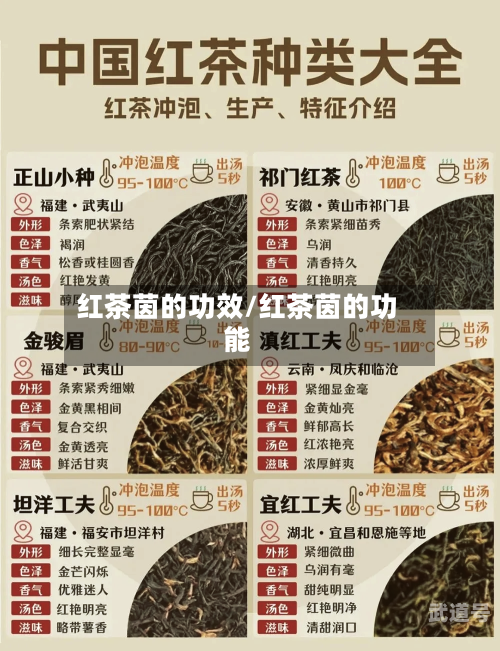 红茶茵的功效/红茶茵的功能