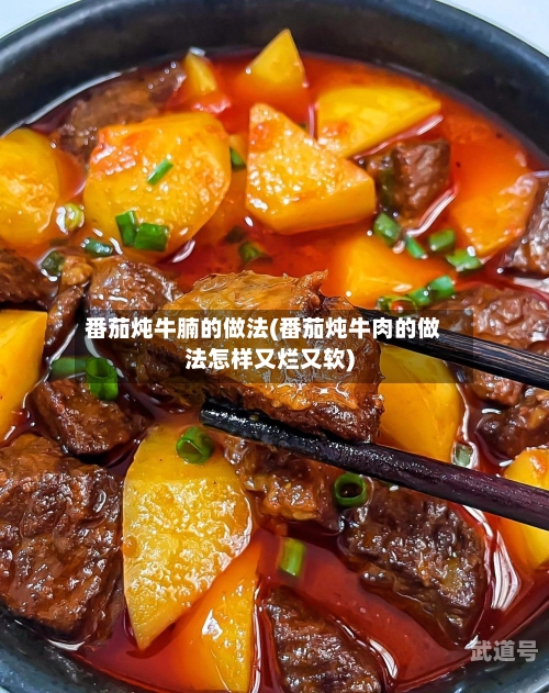 番茄炖牛腩的做法(番茄炖牛肉的做法怎样又烂又软)