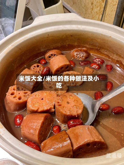 米饭大全/米饭的各种做法及小吃