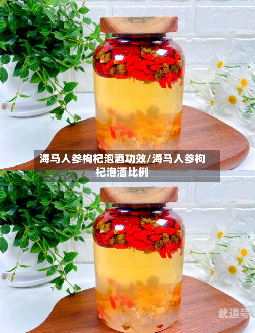 海马人参枸杞泡酒功效/海马人参枸杞泡酒比例