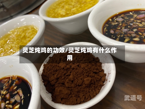 灵芝炖鸡的功效/灵芝炖鸡有什么作用