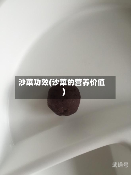 沙菜功效(沙菜的营养价值)