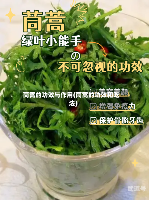 苘蒿的功效与作用(茼蒿的功效和吃法)