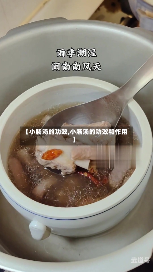 【小肠汤的功效,小肠汤的功效和作用】