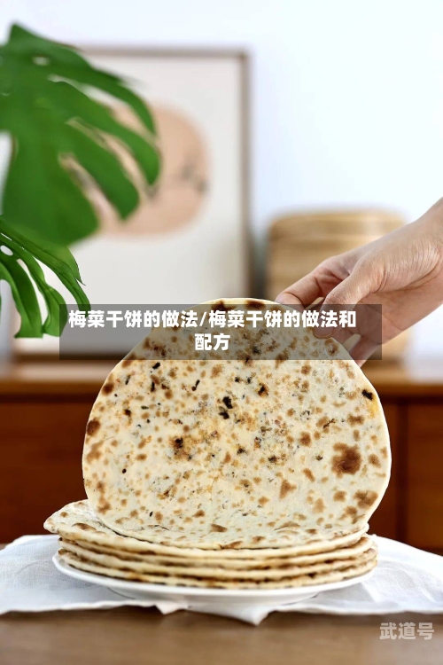梅菜干饼的做法/梅菜干饼的做法和配方