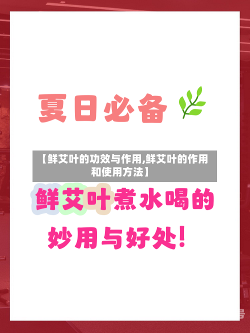 【鲜艾叶的功效与作用,鲜艾叶的作用和使用方法】