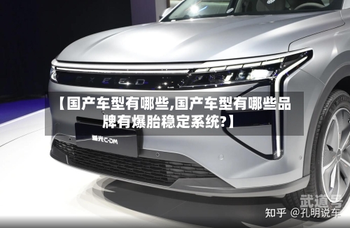 【国产车型有哪些,国产车型有哪些品牌有爆胎稳定系统?】