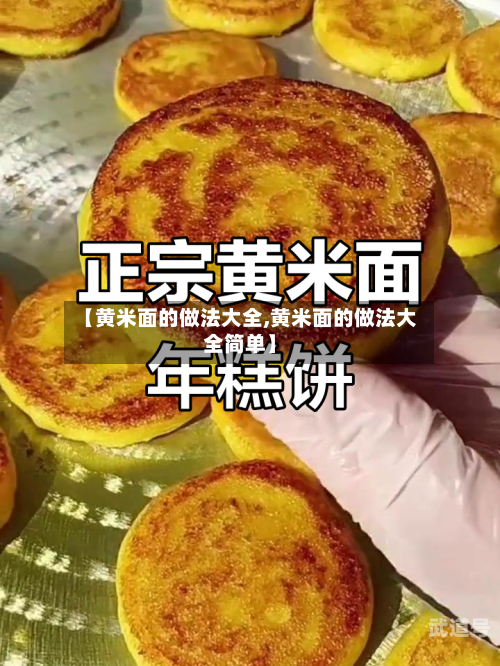 【黄米面的做法大全,黄米面的做法大全简单】