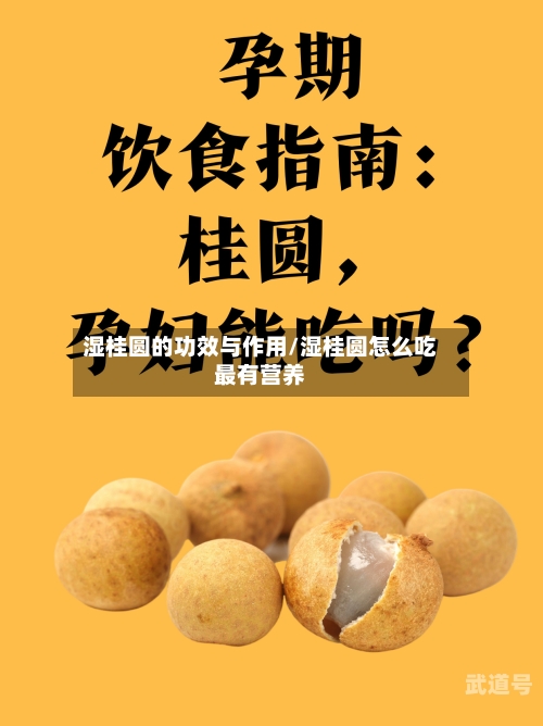 湿桂圆的功效与作用/湿桂圆怎么吃最有营养