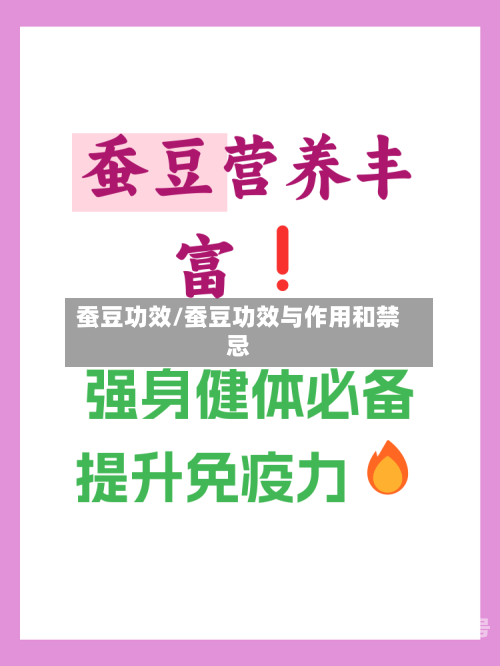 蚕豆功效/蚕豆功效与作用和禁忌