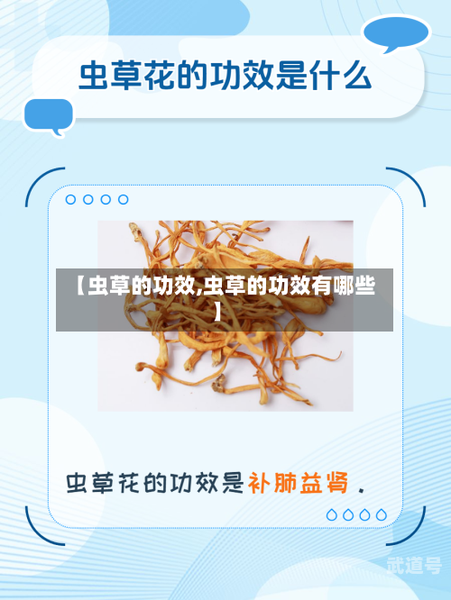 【虫草的功效,虫草的功效有哪些】