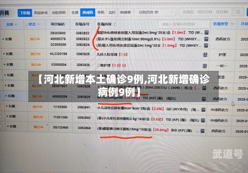 【河北新增本土确诊9例,河北新增确诊病例9例】
