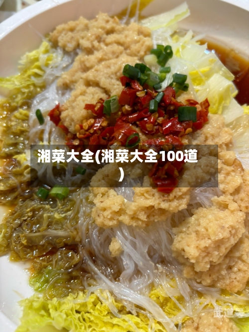 湘菜大全(湘菜大全100道)