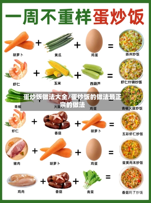 蛋炒饭做法大全/蛋炒饭的做法最正宗的做法