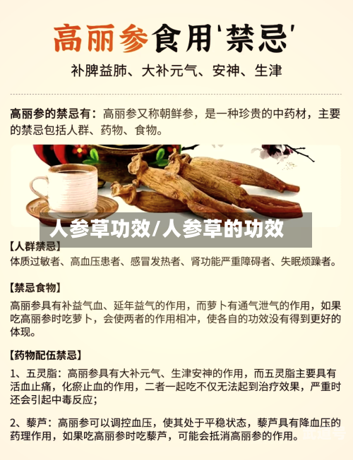 人参草功效/人参草的功效