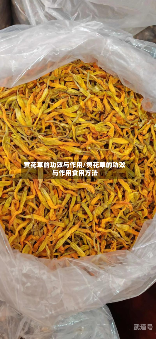 黄花草的功效与作用/黄花草的功效与作用食用方法