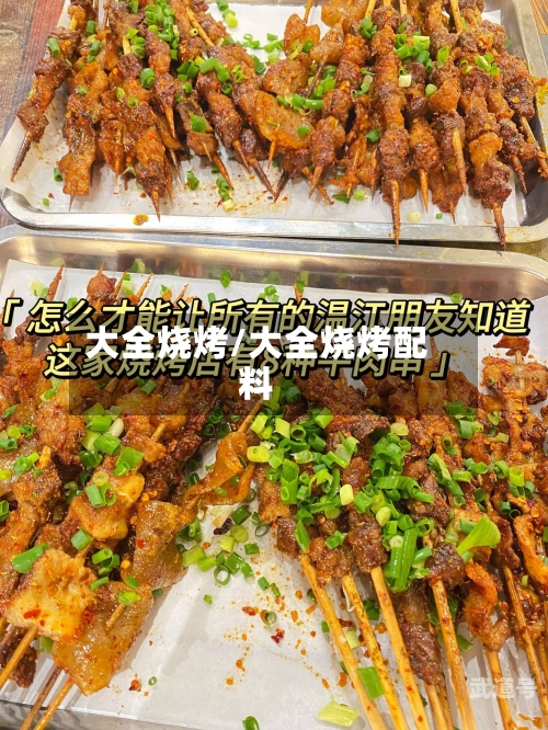 大全烧烤/大全烧烤配料