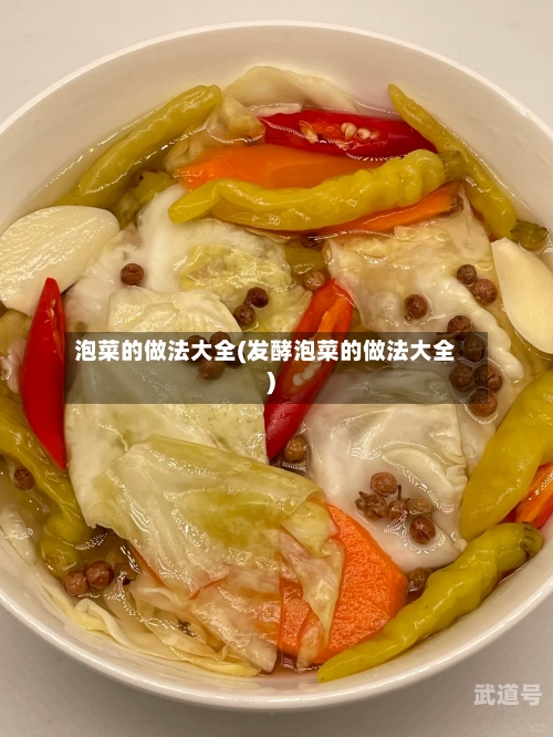 泡菜的做法大全(发酵泡菜的做法大全)