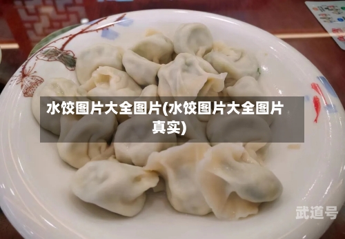 水饺图片大全图片(水饺图片大全图片真实)