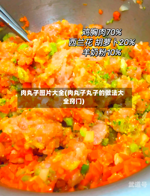 肉丸子图片大全(肉丸子丸子的做法大全窍门)