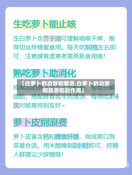 【白萝卜的功效和禁忌,白萝卜的功效和禁忌和副作用】