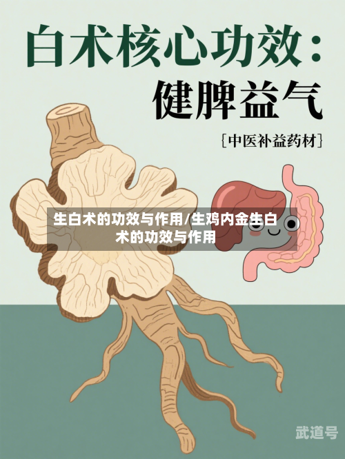 生白术的功效与作用/生鸡内金生白术的功效与作用