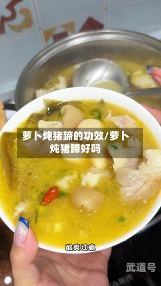 萝卜炖猪蹄的功效/萝卜炖猪蹄好吗