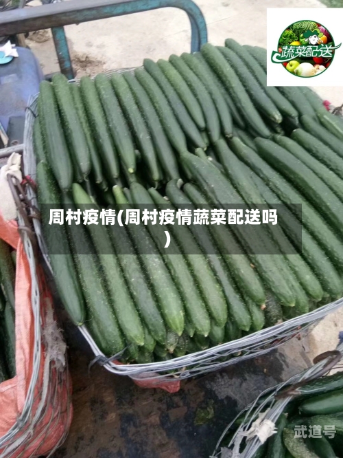 周村疫情(周村疫情蔬菜配送吗)