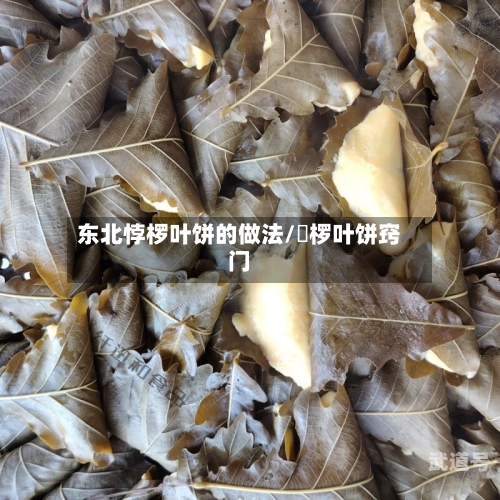 东北悖椤叶饼的做法/桲椤叶饼窍门