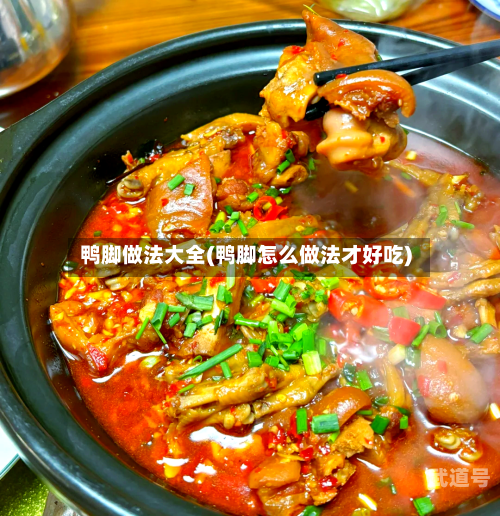 鸭脚做法大全(鸭脚怎么做法才好吃)