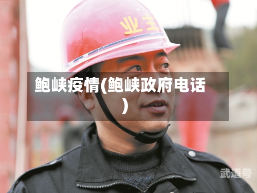 鲍峡疫情(鲍峡政府电话)