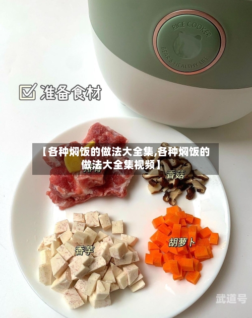 【各种焖饭的做法大全集,各种焖饭的做法大全集视频】