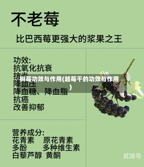 树莓功效与作用(越莓干的功效与作用)
